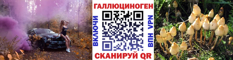 ссылка на мегу ССЫЛКА  закладки  Сураж  Галлюциногенные грибы Psilocybe 