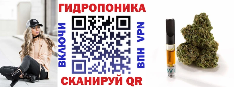 Марихуана семена blacksprut Сураж